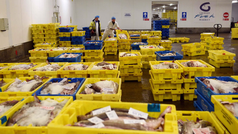 Commercial fishing business plan image