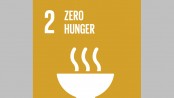 Zero hunger in Bangladesh: Is it still a far cry?