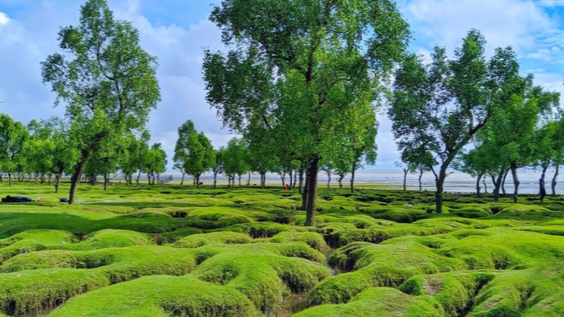 Guliakhali Sea Beach declared as reserved tourism zone
