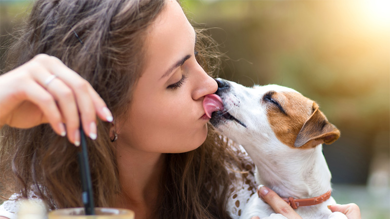 kiss of death: pet owner dies after getting licked by his dog