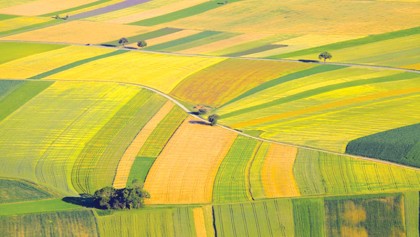 Rapidly decreasing farmland