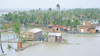 Rehabilitate properly 
people hit by Bulbul