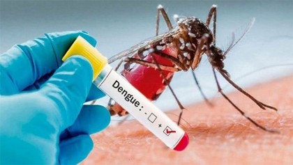 Shattered by Covid, Bangladesh now awaits a dengue blow